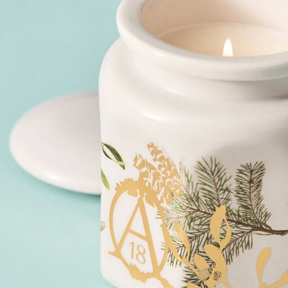 NEW NWT Anthropologie apothecary 18 ceramic misteltoe and moss candle
